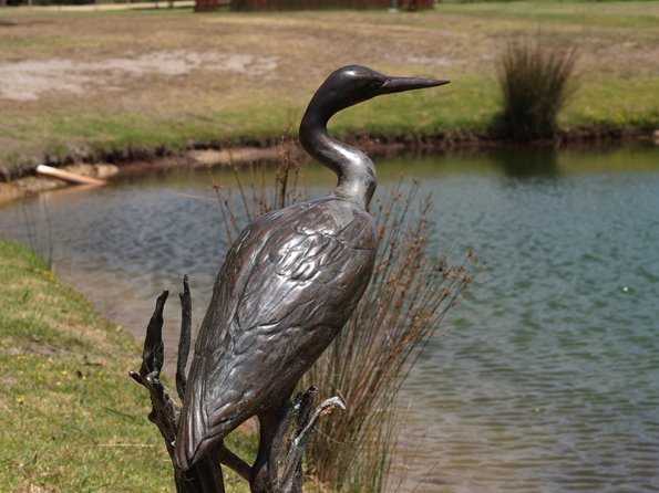 Free spirit, Heather Ellis