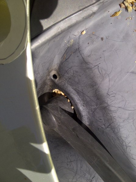 Melbourne-20140208-00224