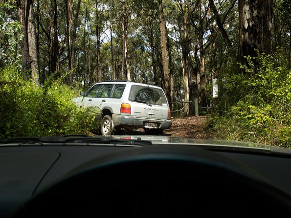 Bunyip SP 11Jan12_419_Ew