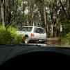 View the image: Bunyip SP 11Jan12_419_Ew