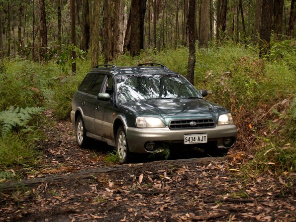 Bunyip SP 11Jan12_421_Ew