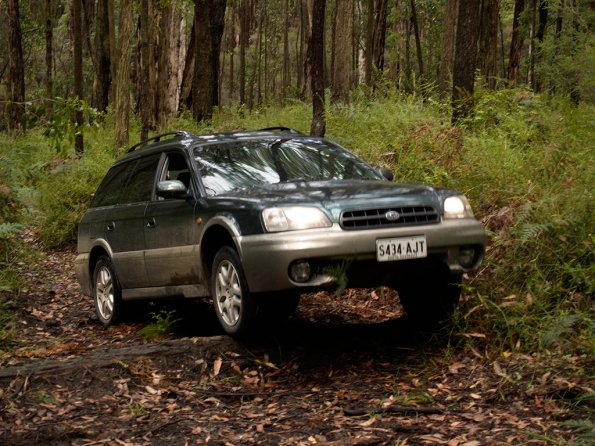 Bunyip SP 11Jan12_422_Ew