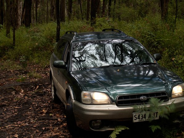 Bunyip SP 11Jan12_425_Ew