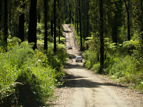 Bunyip SP 11Jan12_427_Ew