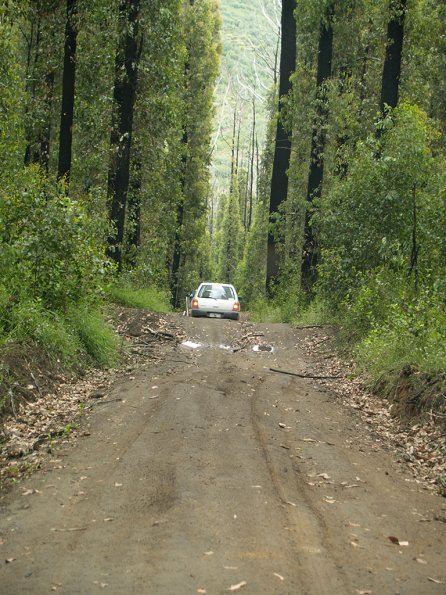 Bunyip SP 11Jan12_429_Ew