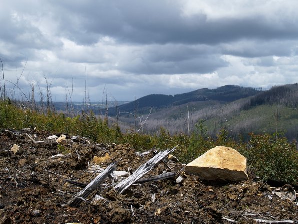 Bunyip SP 11Jan12_432_Ew