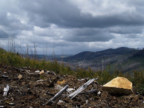 Bunyip SP 11Jan12_433_Ew