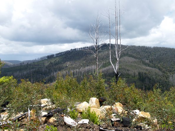 Bunyip SP 11Jan12_434_Ew