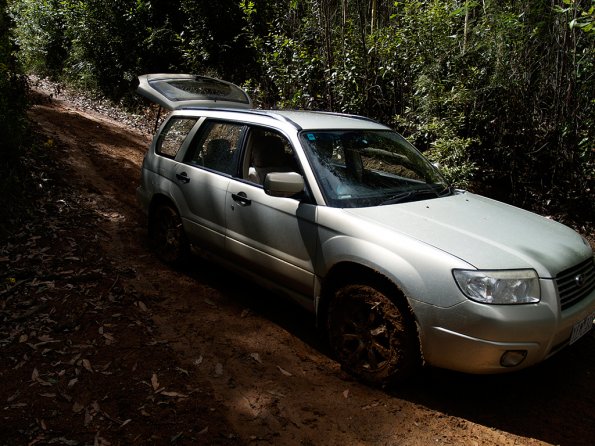 Bunyip SP 11Jan12_437_Ew