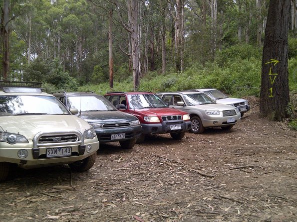 IMG-20120121-00001_E