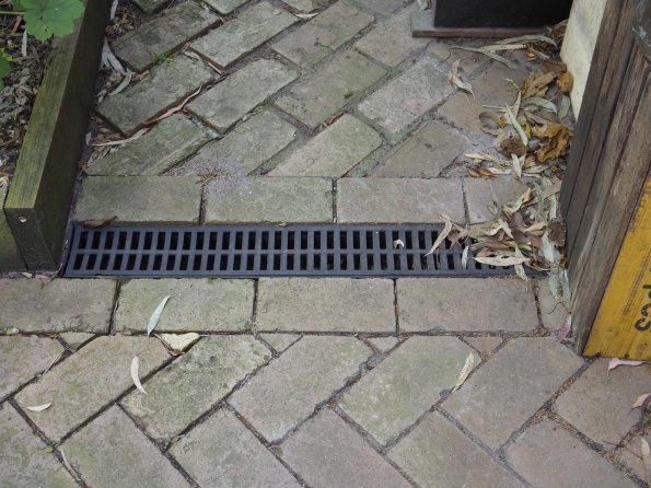 Olympus OM-D E-M1 MkII MILC