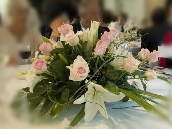 Elisabeth Chanko & Stephen Kohler - 13th January 2008