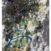 View the image: Otway Fly canopy and forest floor walk