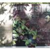 View the image: Otway Fly canopy and forest floor walk