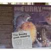 View the image: Otway Fly canopy and forest floor walk