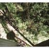 View the image: Otway Fly canopy and forest floor walk