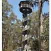 View the image: Otway Fly canopy and forest floor walk