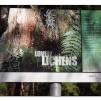 View the image: Otway Fly canopy and forest floor walk