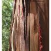 View the image: Otway Fly canopy and forest floor walk