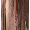 View the image: Otway Fly canopy and forest floor walk