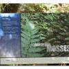 View the image: Otway Fly canopy and forest floor walk