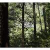 View the image: Otway Fly canopy and forest floor walk