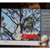 View the image: Otway Fly canopy and forest floor walk