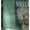 View the image: Otway Fly canopy and forest floor walk