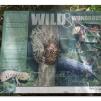 View the image: Otway Fly canopy and forest floor walk