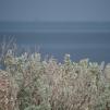 View the image: _M242074-246