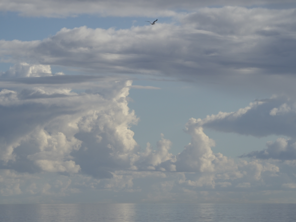 72687_polarr E-M1_MkII_JAK_2019-_6164698.JPG