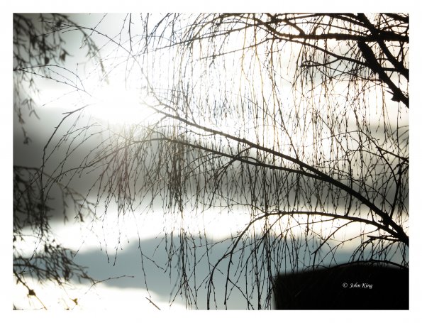 Olympus OM-D E-M1 MkII MILC