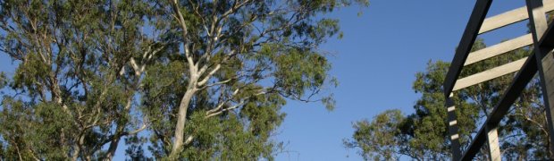 Skies:
OLYMPUS DIGITAL CAMERA