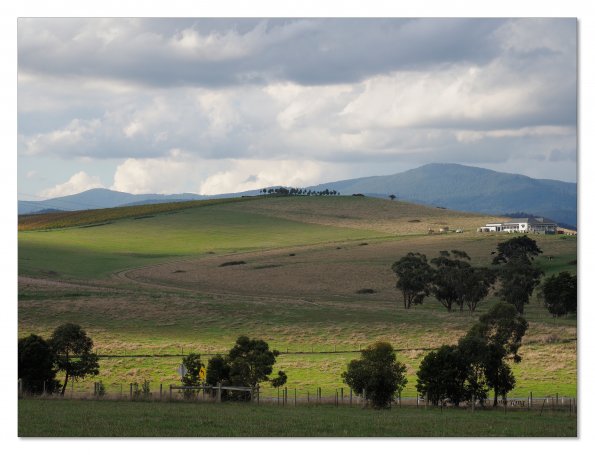 Olympus OM-D E-M1 MkII MILC