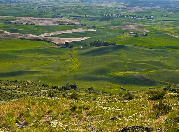 Sharon-Engstroms_original_E-JK