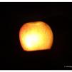 View the image: OLYMPUS E-30