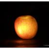 View the image: OLYMPUS E-30