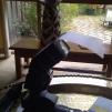 View the image: Melbourne-20121116-00104