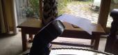 View the Album: attachments
 10 images