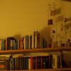View the image: OLYMPUS DIGITAL CAMERA