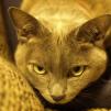 View the image: OLYMPUS DIGITAL CAMERA