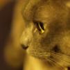View the image: OLYMPUS DIGITAL CAMERA