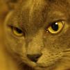 View the image: OLYMPUS DIGITAL CAMERA