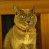View the image: OLYMPUS DIGITAL CAMERA