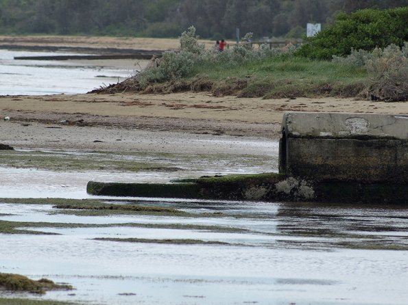 OM legacy lens f4.5/300 + E-510