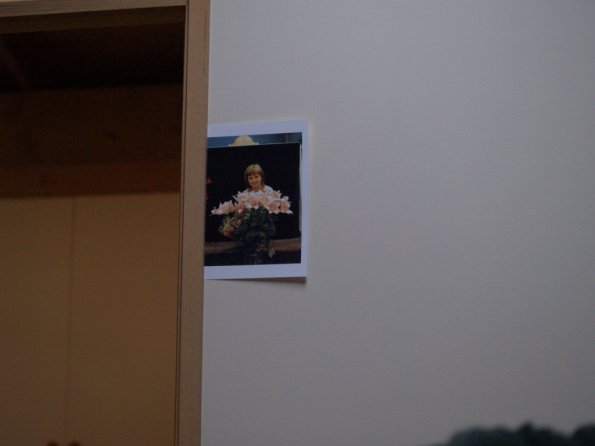 OLYMPUS DIGITAL CAMERA