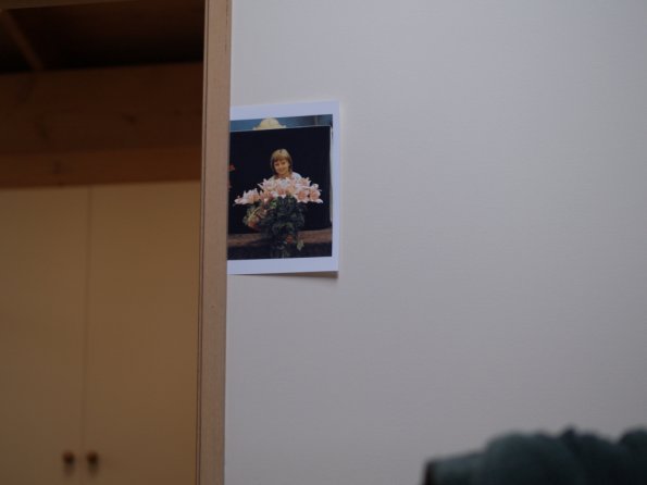 OLYMPUS DIGITAL CAMERA