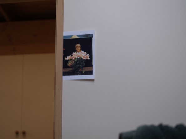 OLYMPUS DIGITAL CAMERA