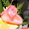 View the image: DSCN0509