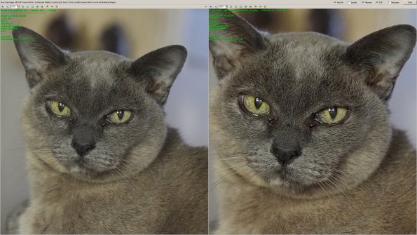 M226103_OiShare+PS Comparison